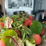 Bed & Breakfast Kamienica & Restauracja