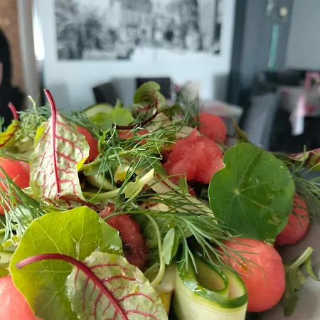 Bed and breakfast Kamienica & Restauracja