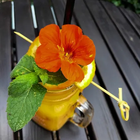 Kamienica & Restauracja Opalenica