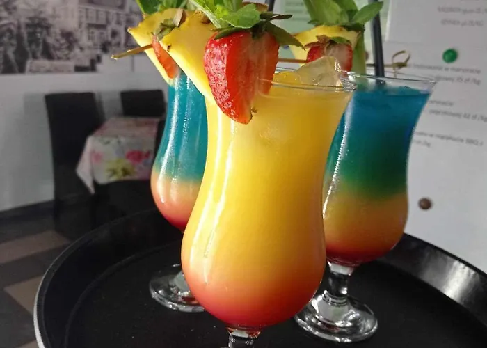 Frühstückspension Kamienica & Restauracja Opalenica