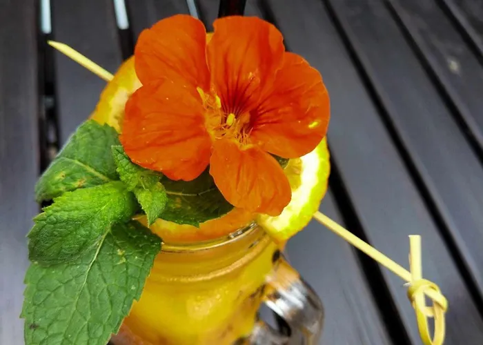 Kamienica & Restauracja Opalenica